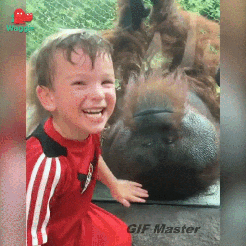 GIF_Master