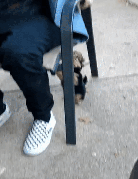 Просто мими