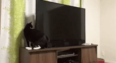 Магический ТВ