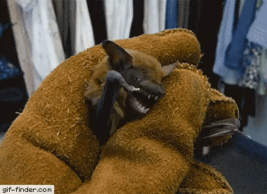 Отпусти сейчас же!