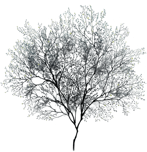 8a9818ba-193c-28a8-6284-48a53e2c0739 (1) (1) (1) (1) (1)