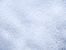 snow_texture1556