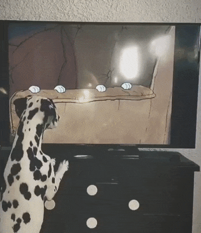 Любимый мульт