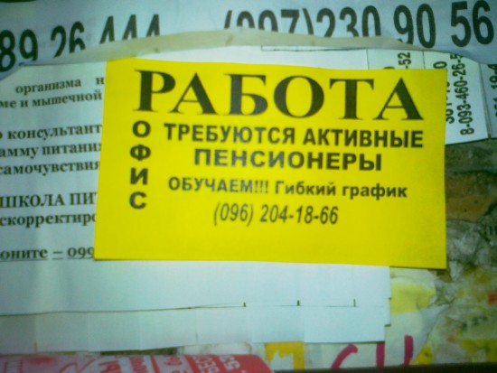 25052010231