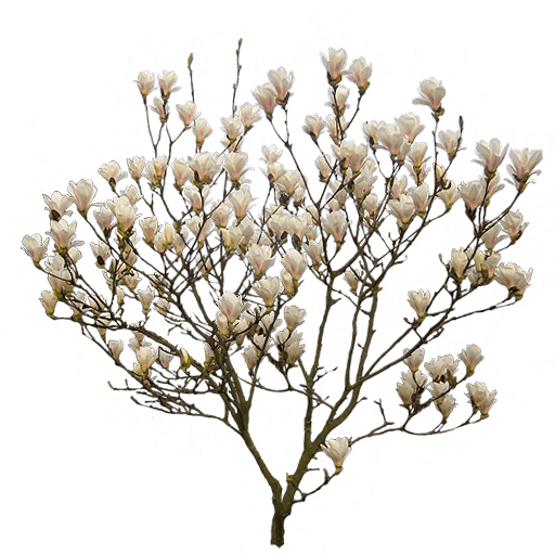 64a243cb-7c9e-13b8-bf81-13eeaa4fea2d