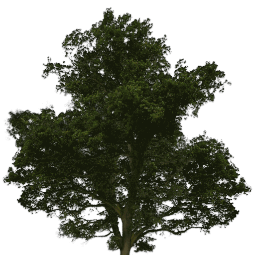 593a7aa1-e1c6-bc5f-bd28-3059f640957c-22 (1) (1) (1) (1) (1) (1)