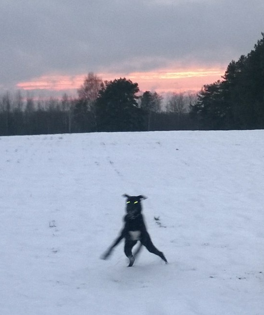 IMG_20171209_181219(1)