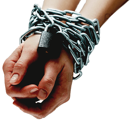 7798982880624f0a965cebaeef0865fc826cb38c107_b (1)