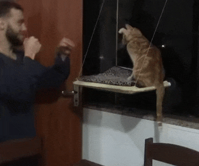 Разминка перед боем