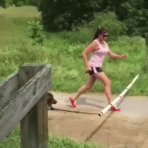 дама с собакой