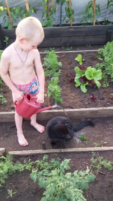 IMG_20170630_205426_1