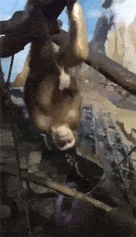 ChMkJ1hd4kqIT4EuADvHVYEpk50AAY08wAFcQsAO8dt786