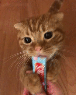 Конфетка с валерианкой