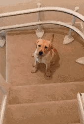 Быстрый спуск