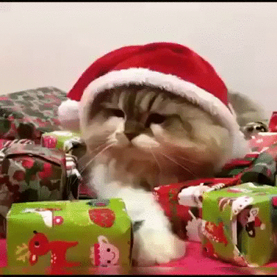 Ruki_ubral_33_Esche_ne_Novy_god_33__128516