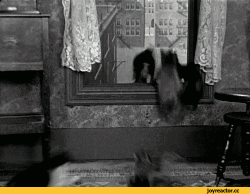 D0B3D0B8D184D0BAD0B8D0BAD0BED182D18D1901969_yapfiles.ru_yapfiles.ru