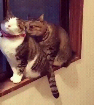 Как у людей