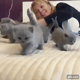 Нашествие персов