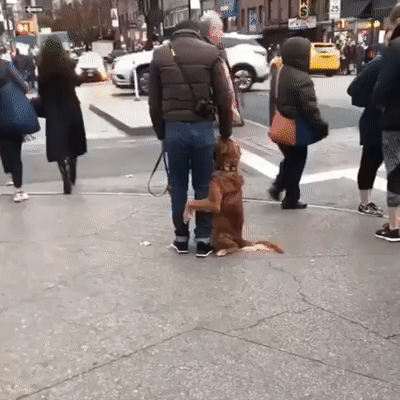 Первый раз в городе