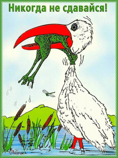 не сдавайся