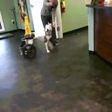 1514329696117591175 (1)