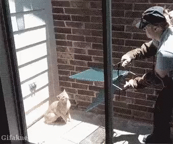 Не просто кошку поймать