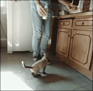 tumblr_p1qwxqc7QP1sxcfk5o1_400