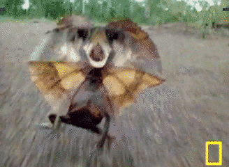 1362269300_241709885