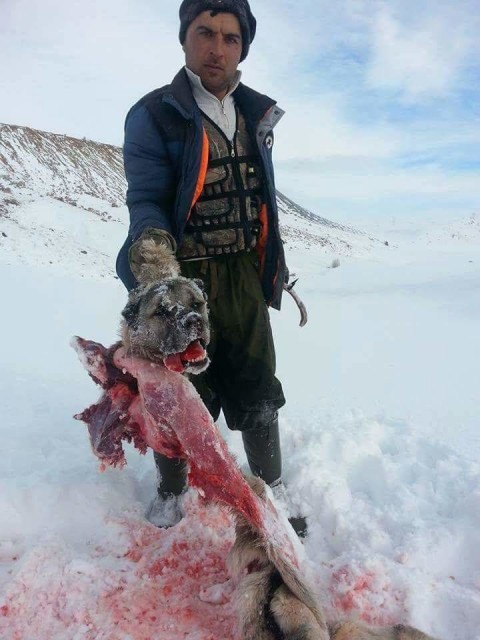 2018-01-11-PHOTO-00000823