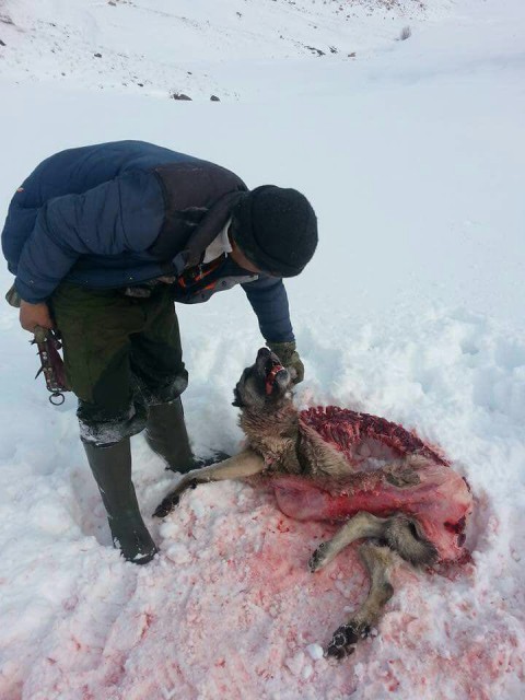 2018-01-11-PHOTO-00000825