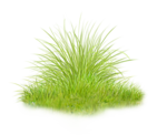 0_6aa6d_fdebf61a_S