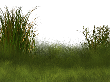 0_dbf0e_aa880b46_orig