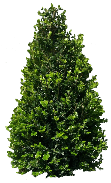 0_2b84ef_bf5b71ad_orig