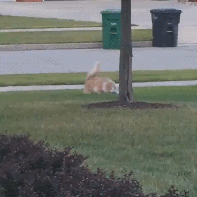 giphy-downsized-large (4)