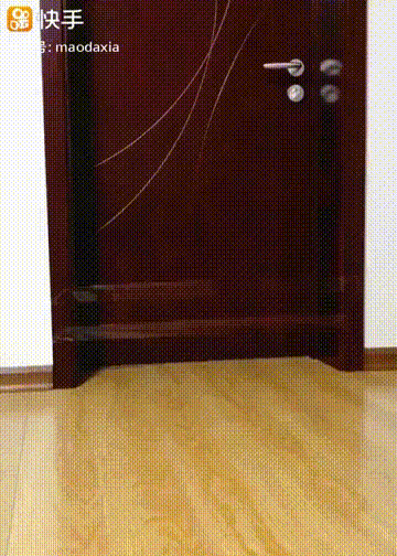 Обманул кота