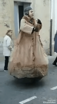 Ванька-встанька