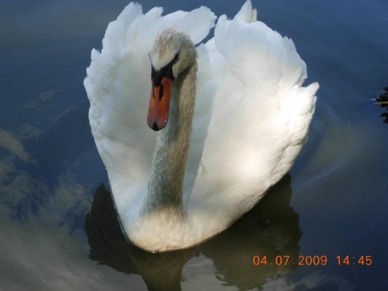 09