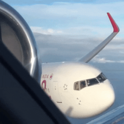 7c2b8b7068b222a72e3cccfcd0a