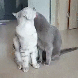 9d4c587b71f69508325edb951c3