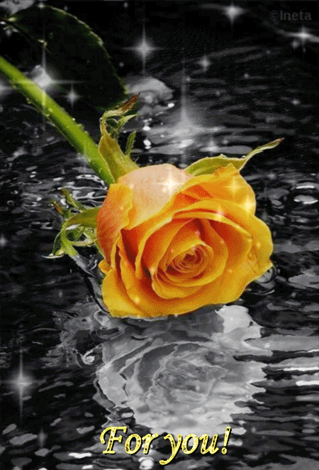 3b00fb4fee4c2e358fd691bb54d71965