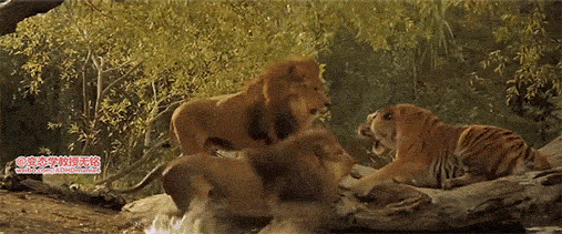 Отпиздюлил трёх царей