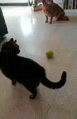 doc_2018-02-05_11-33-51