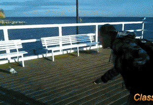 Вот и еще одно доказательство кармы