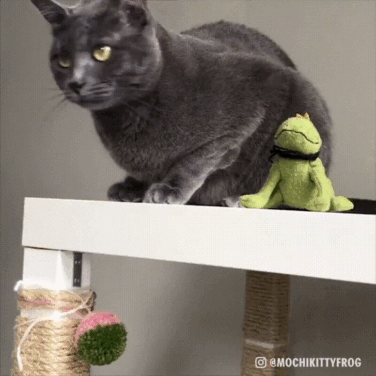 Пшёл отсюда!