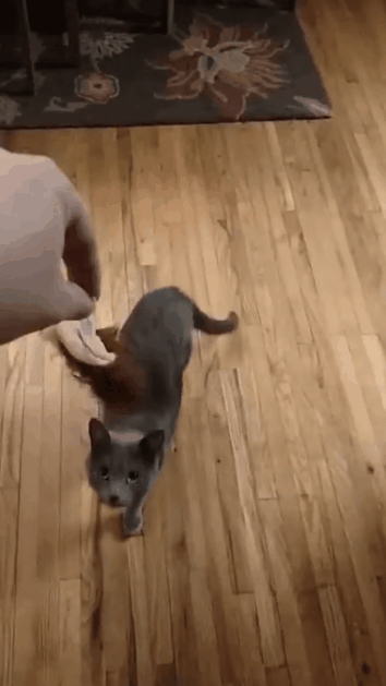 Кто первый?