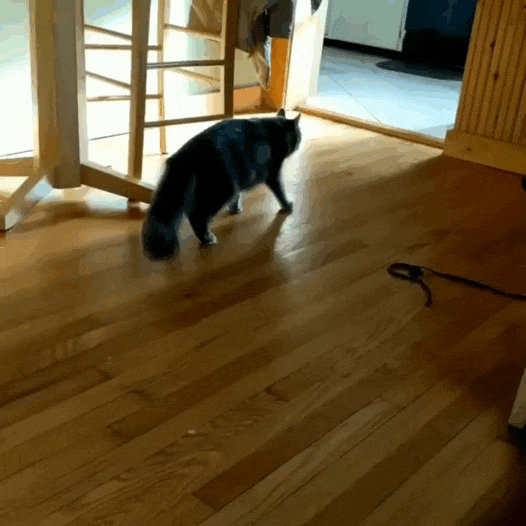 4f52c9514bc70f09da02e2fdc4fda9cf