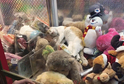 b2a6316213037644c323e1e74cbc2913