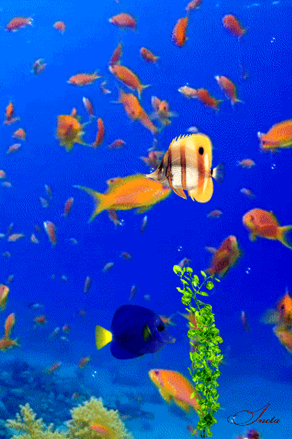 151846373066325196 (2)