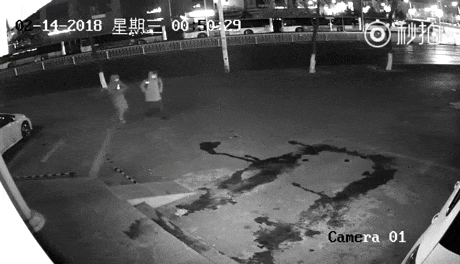 -премия-дарвина-кирпич-хедшот-4311109