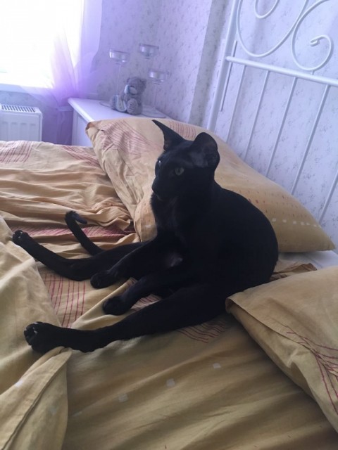 SAVE_20180216_165308